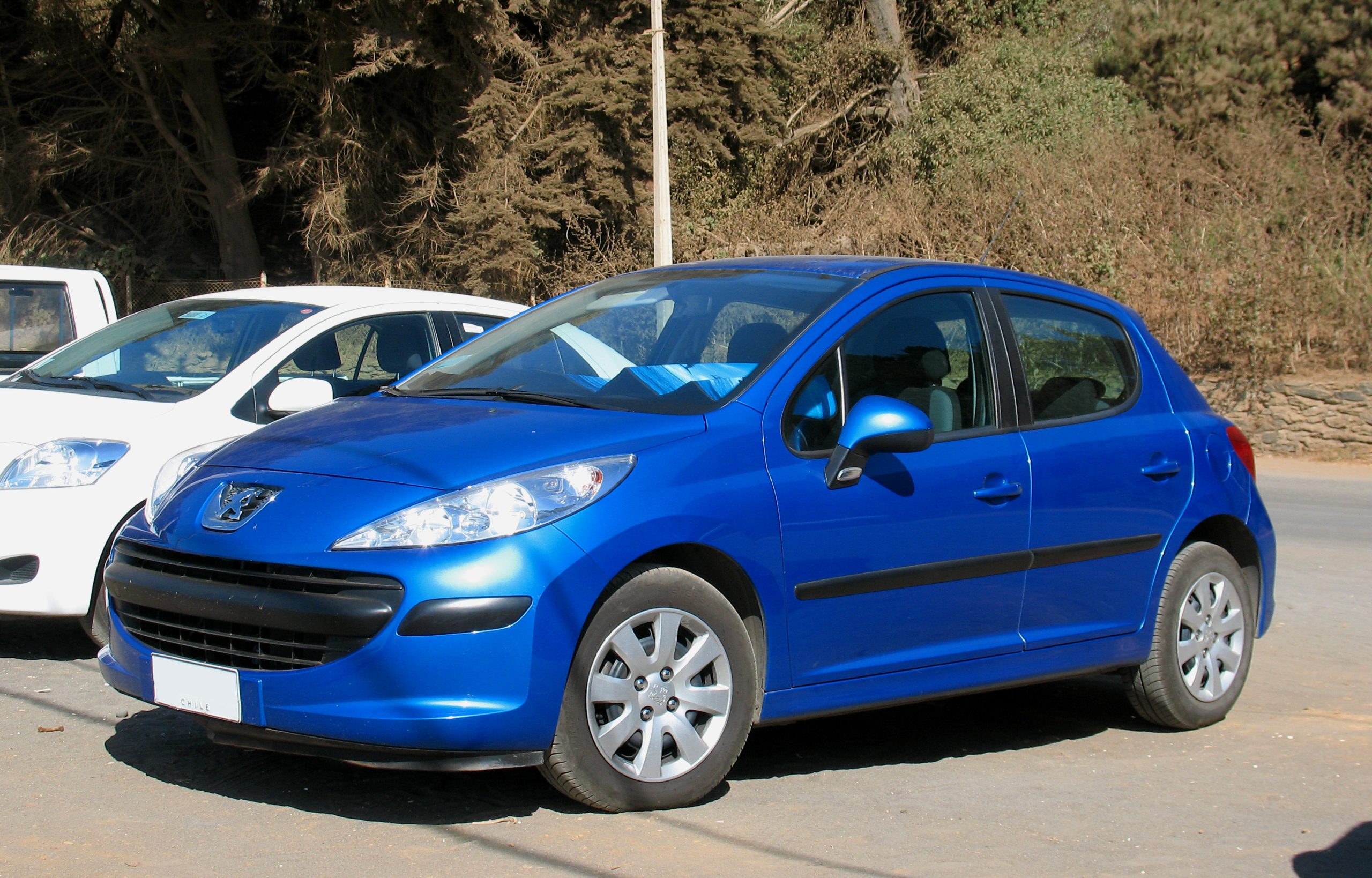 قالپاق پژو 405 SLX 4 عددی